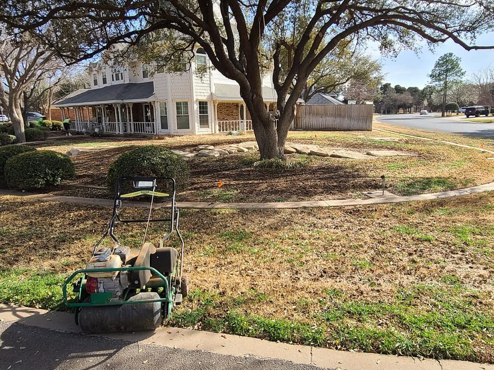 Walk-behind core aerator on a corner-lot lawn greening up after winter