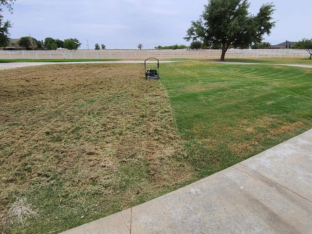 Dethatching in progress: lifted thatch covering one half of the lawn, clean green turf on the other