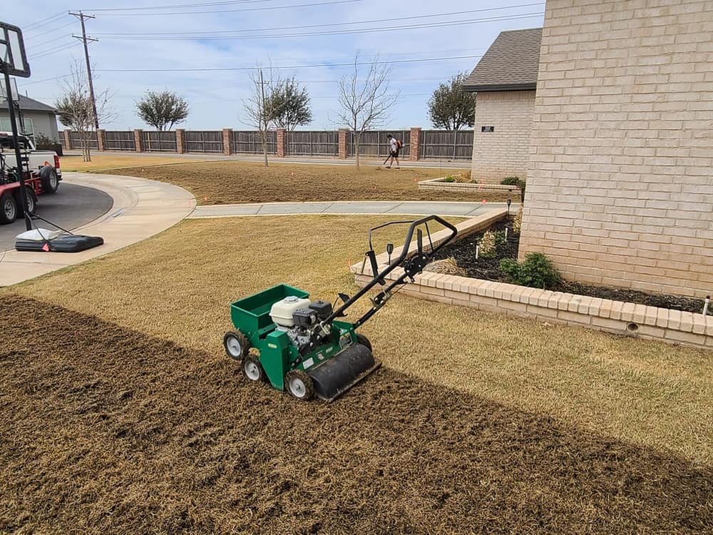 Commercial power rake on a dormant winter lawn striped with rows of lifted thatch