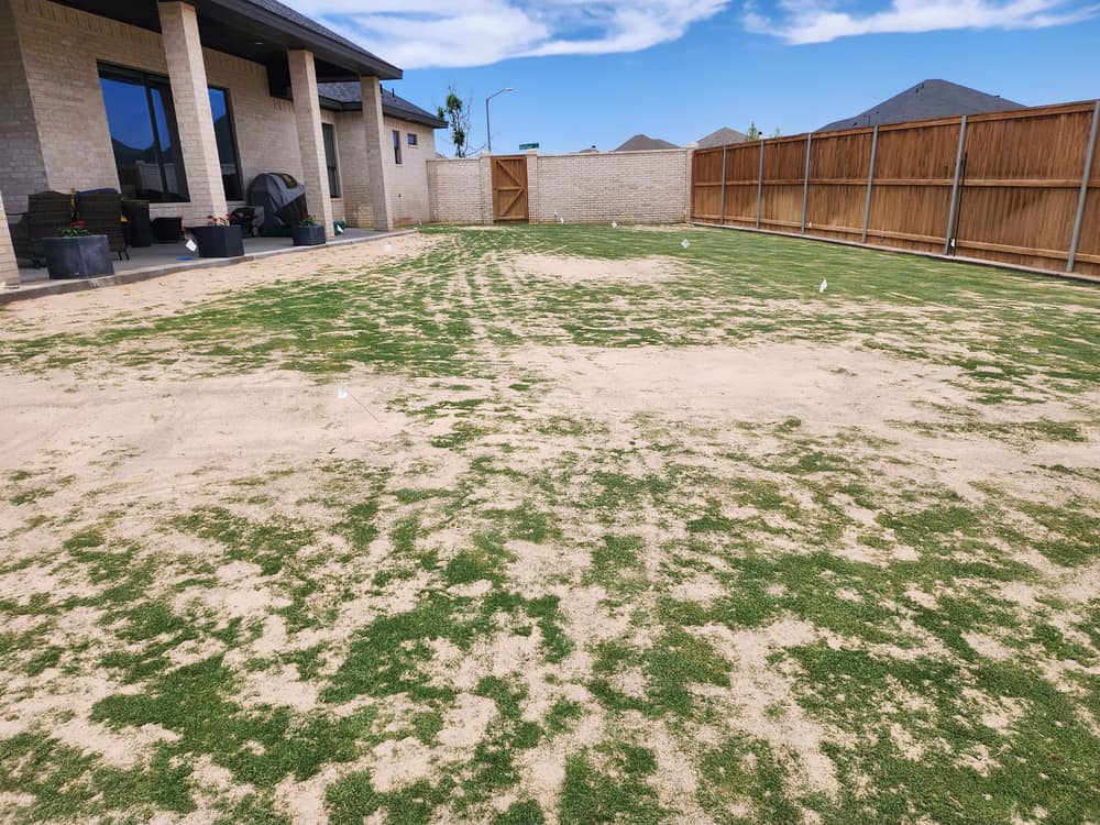 Mid-job: leveling sand worked across a Midland backyard, sprinkler heads flagged