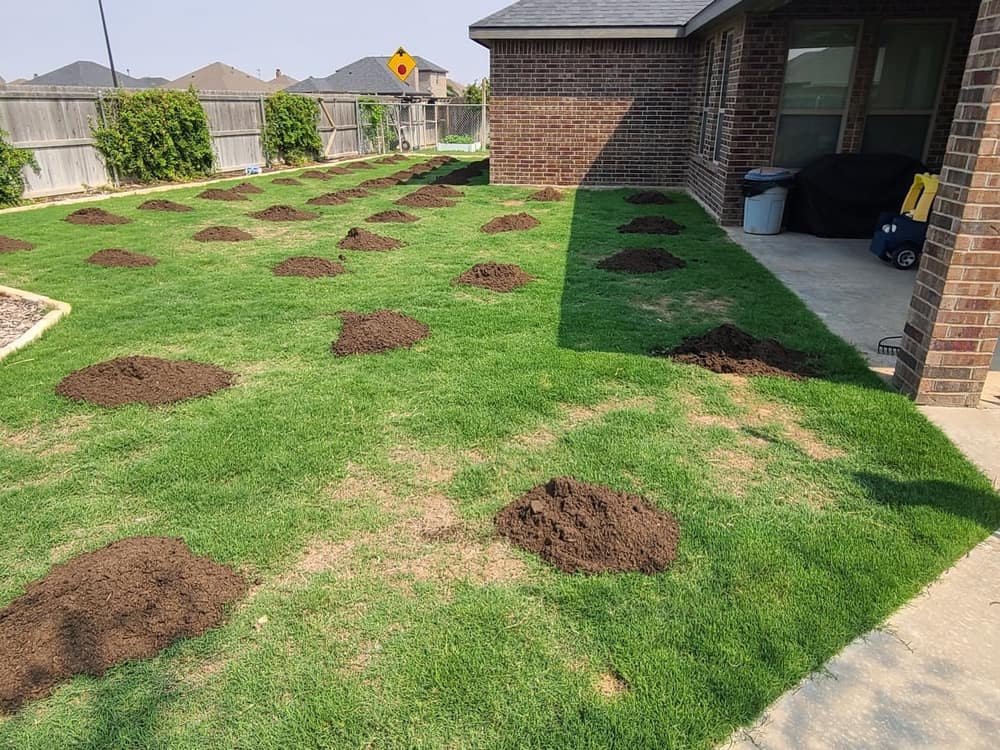 Compost staged in a grid across a backyard, ready to spread