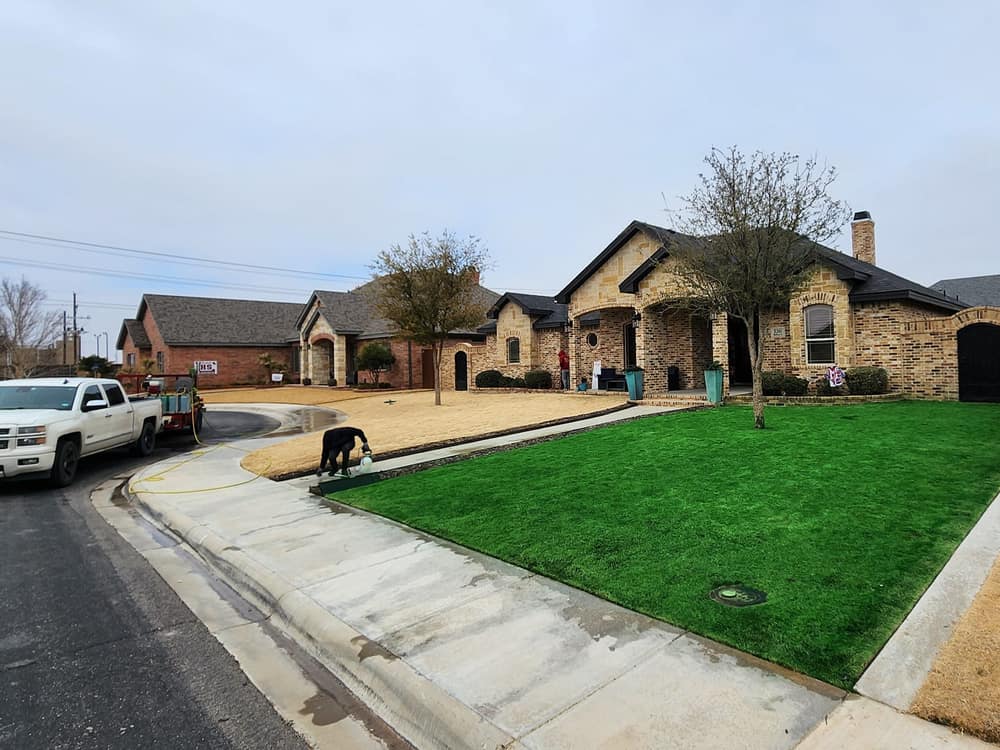 Turf painting in progress: the painted lawn stands out against the unpainted strip